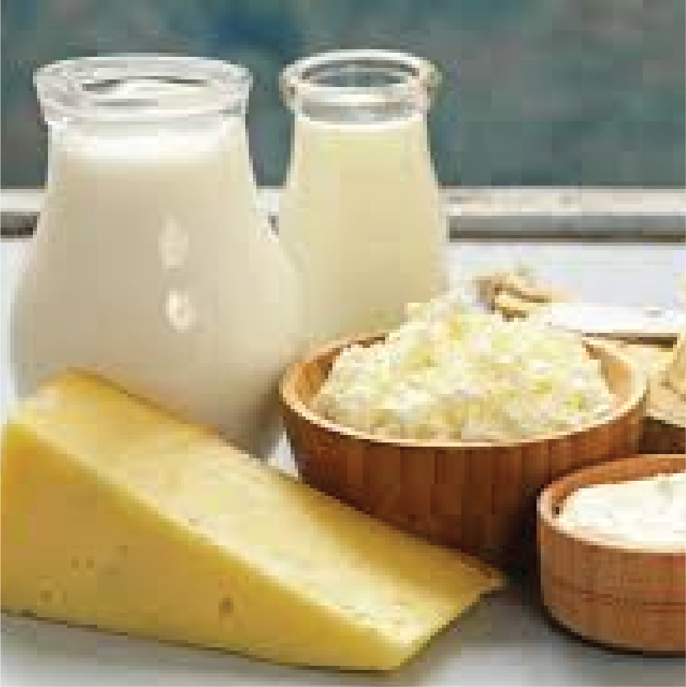 dairy-fats-alternatives-oilnco-industries